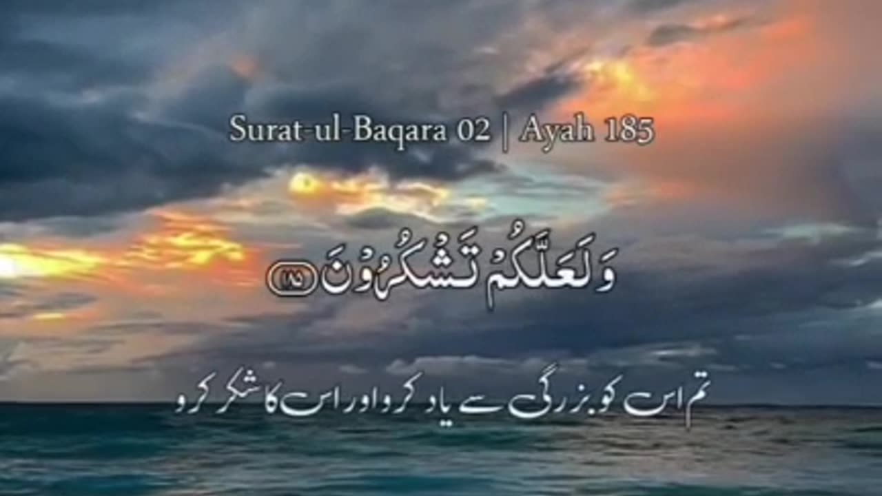 Quran Recitation (19)