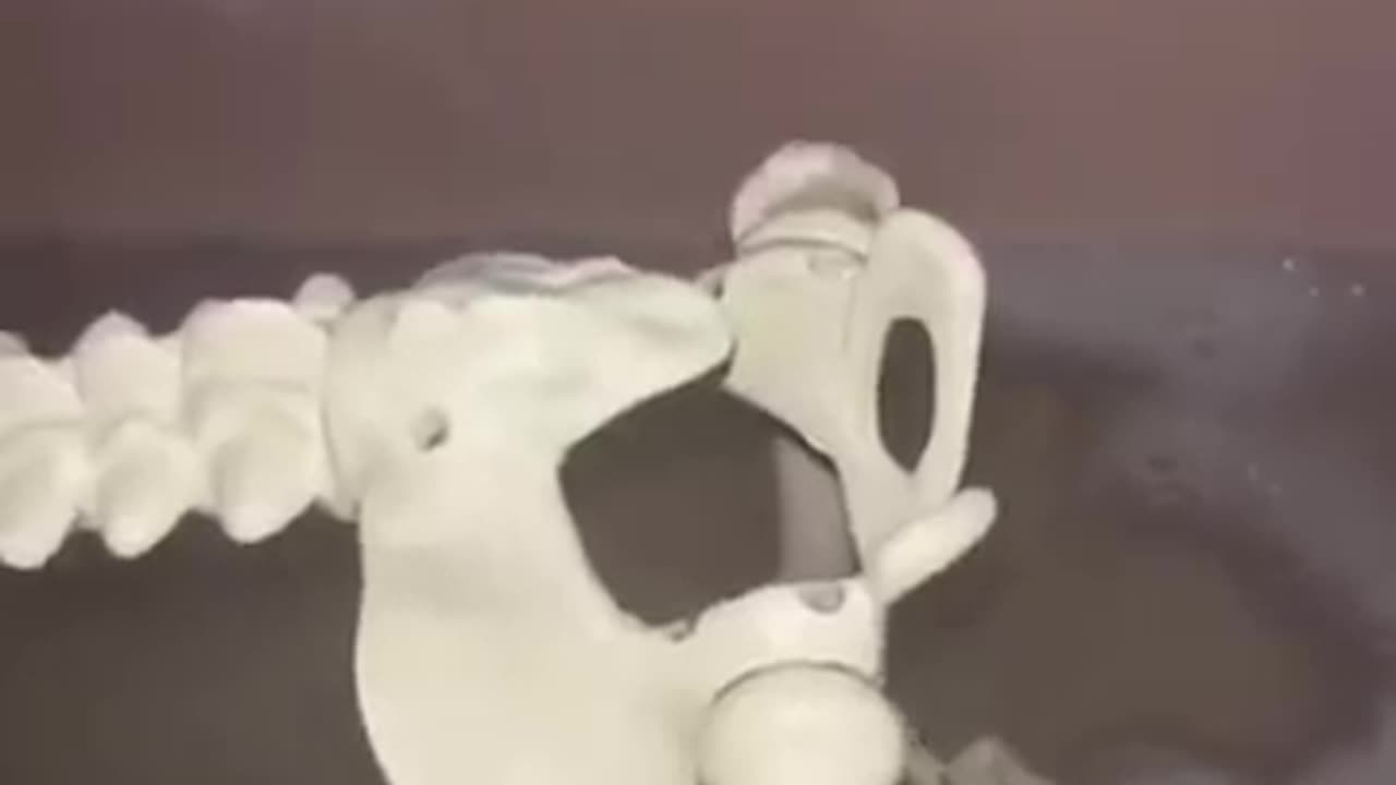 TRY NOT TO LAUGH 😆 Best Funny Videos Compilation 😂😁😆 Memes