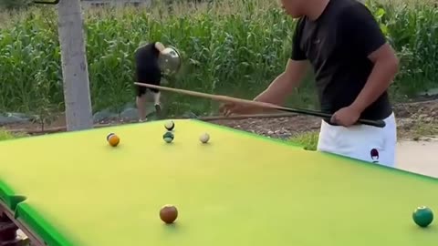 Funny video billiards table