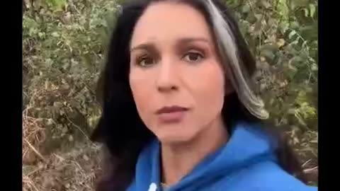 Tulsi Gabbard: Dick and Liz Cheney are always eager to waste lives of our soldiers