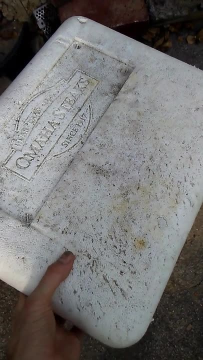 Best & Easiest Greenhouse #best #easiest #greenhouse #gardening #seeds #gardeningtips #plant #garden