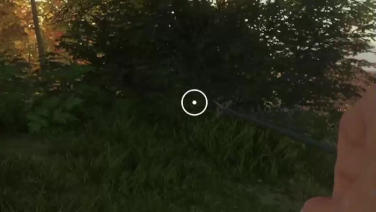 Pooped out of the Sky in Hunter Call of the Wild