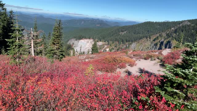 Oregon – Mount Hood – Vibrant Valley – 4K