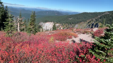 Oregon – Mount Hood – Vibrant Valley – 4K