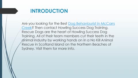 Dog Behaviourist in McCarrs Creek