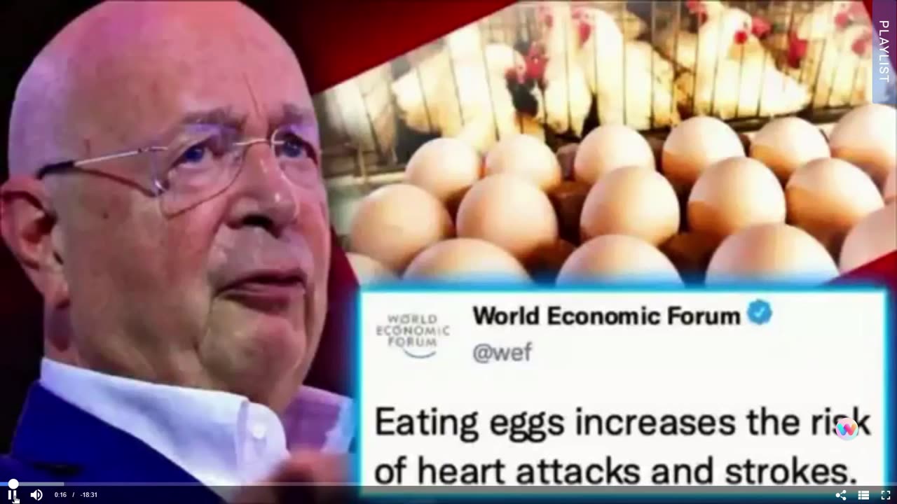 The war on chickens-time to get your own source of eggs - Dr. Sam Bailey (Gemma O'Doherty) 18-02-23