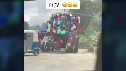 Funny video