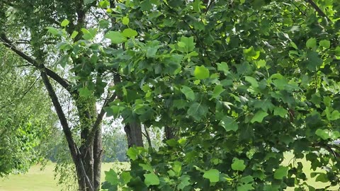 KENTUCKY TENNESSEE I 65 REST AREA NORTH