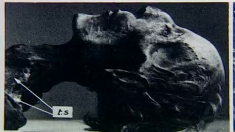 Why Was So Much Cocaine Discovered Inside These Ancient Mummies: Cocaine Mummies - Timeline