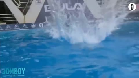 Miriam Hamberg wins Norway's 2019 Death Diving Championship, a breakdown.