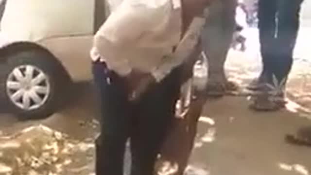 How to properly break a coconut by hand