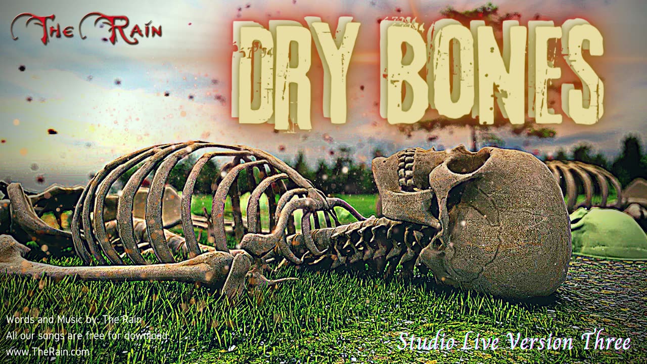 1336.Dry Bones - Studio Solo 3