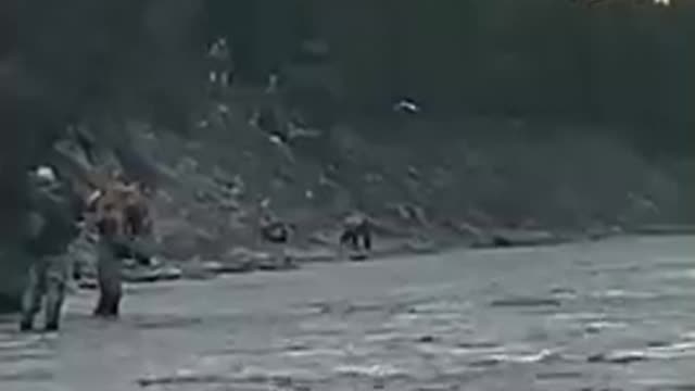 Alaskan Grizzly Bear scares fisherman out of their fishing spot