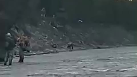 Alaskan Grizzly Bear scares fisherman out of their fishing spot