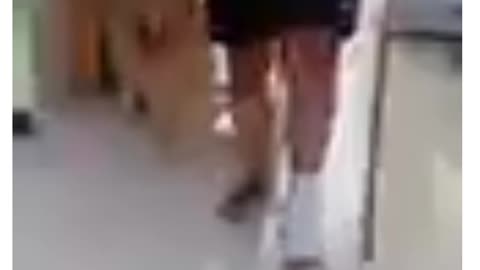 dog funny video walking with his owner 2022
