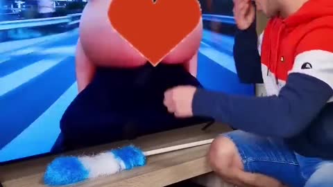 Try Not To Laugh Watching Funny Animals