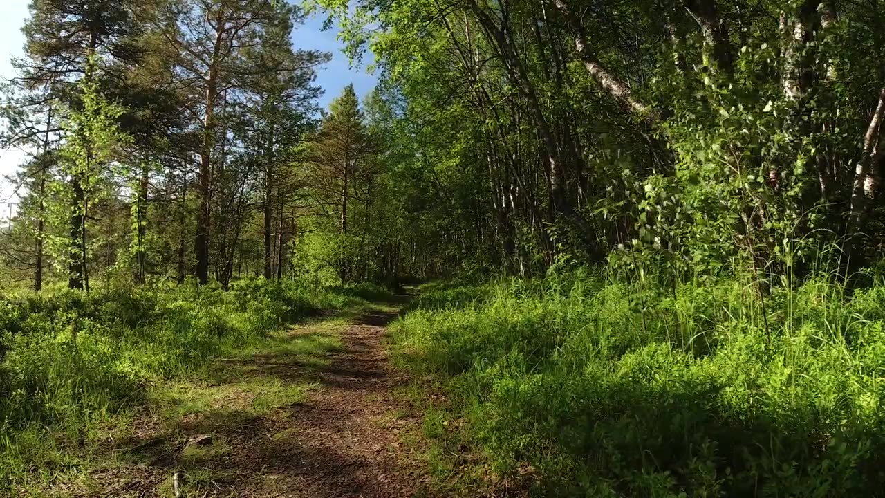 Nature Videos Drone Shots / Beautiful Mountain / Waterfall / River