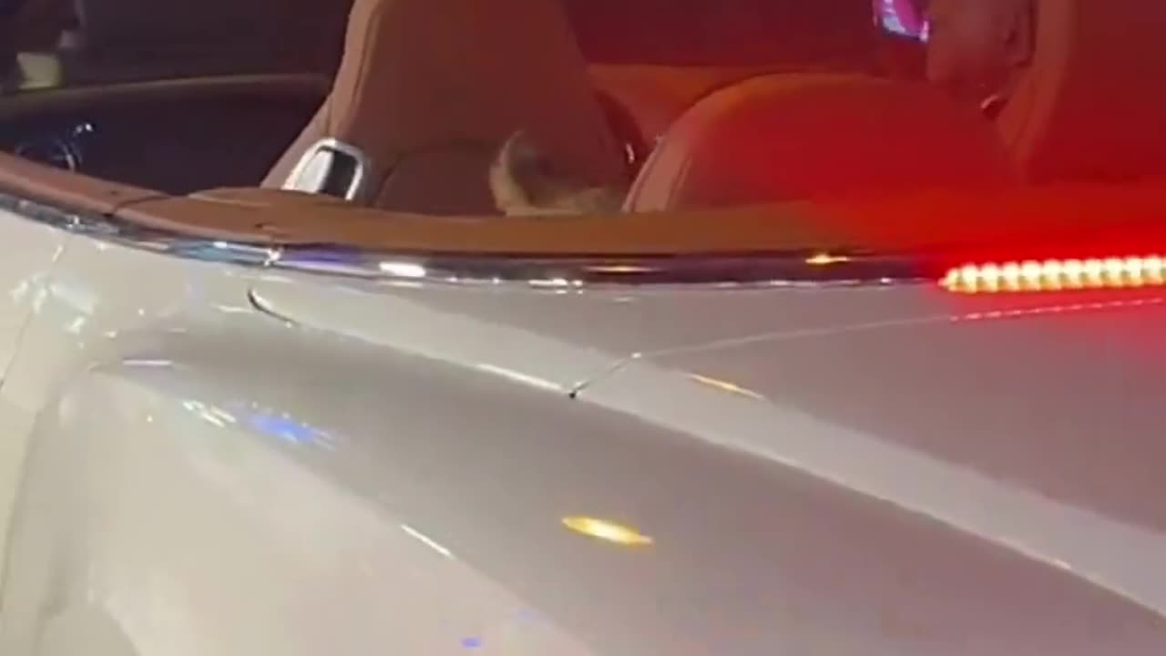 WATCH: Viral video featuring lion cub cruising around in a lavish Bentley