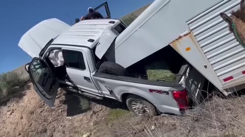 Driver airlifted to hospital after going wrong way on I-80, crashing into truck with horse trailer