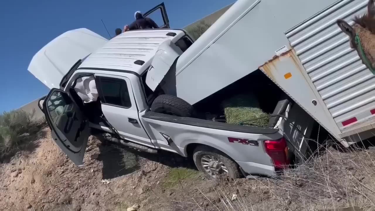 Driver airlifted to hospital after going wrong way on I-80, crashing into truck with horse trailer