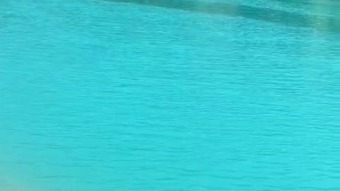 Crystal clear water in Switzerland