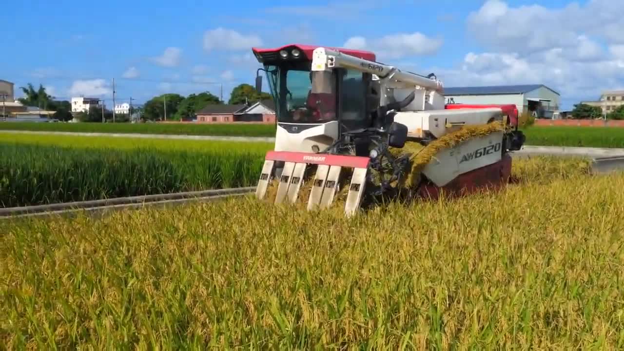 Wheat harvesting machine