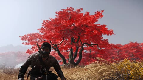 'GHOST OF TSUSHIMA' Red 👣 Tree 🍁