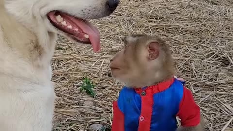 Two friends