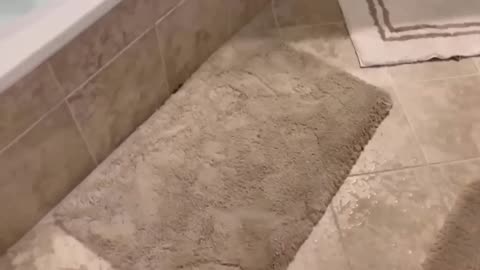 Funny_Animal_Videos_2023_🥰_-_Funniest_Dogs_and_Cats_Videos_😁_#6(1080p)