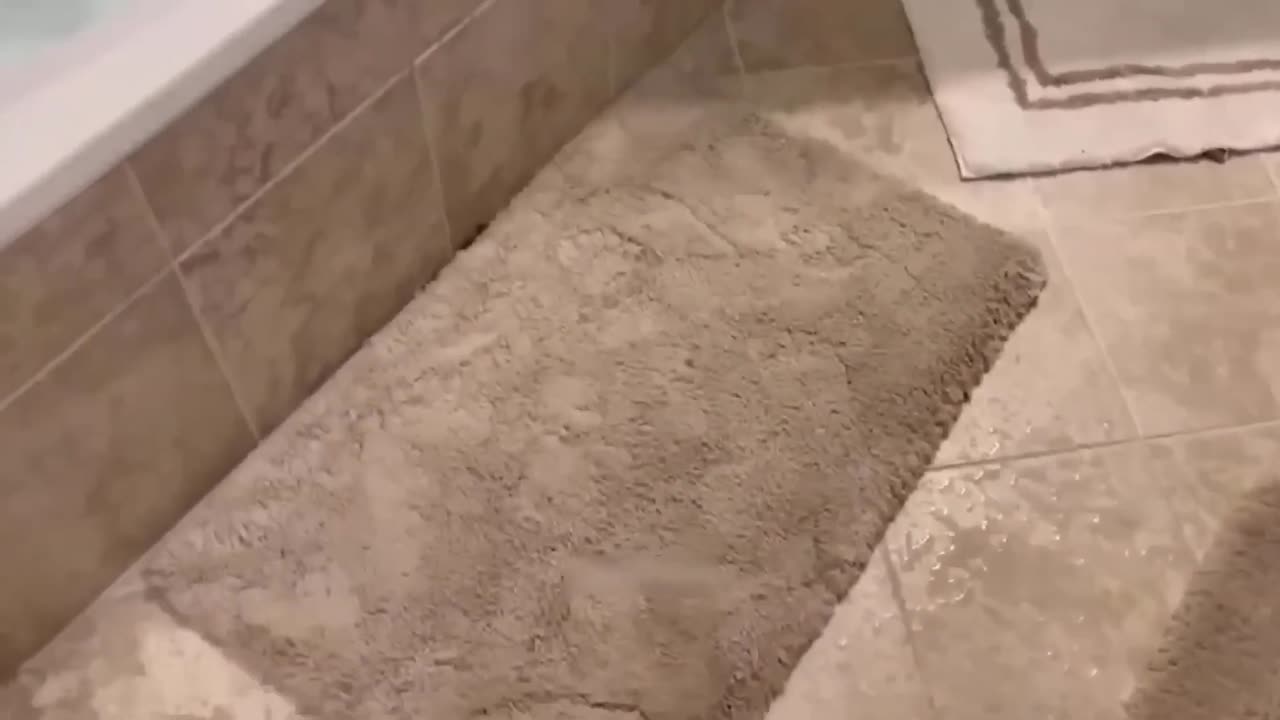 Funny_Animal_Videos_2023_🥰_-_Funniest_Dogs_and_Cats_Videos_😁_#6(1080p)