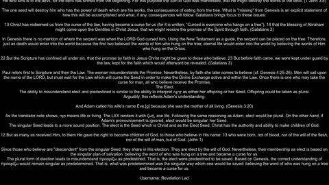 What insights can be derived from the Protoevangelium regarding God39s plan of Salvation specifical