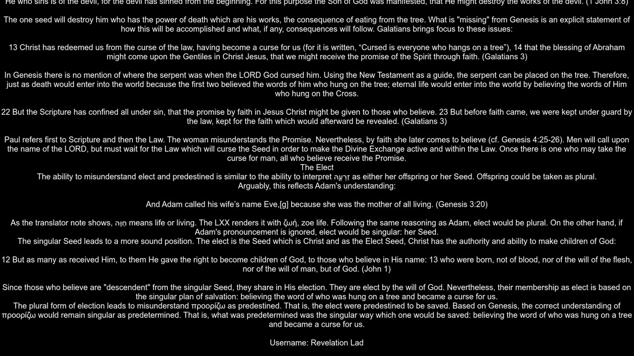 What insights can be derived from the Protoevangelium regarding God39s plan of Salvation specifical