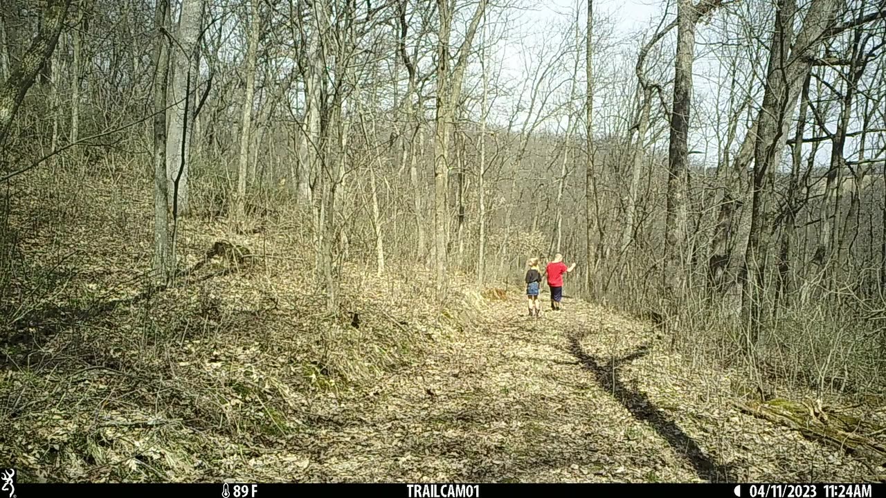 Audra and Bram woods hike