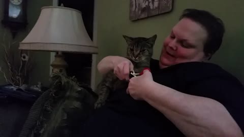 Nail Trimming