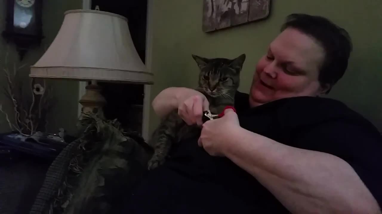 Nail Trimming