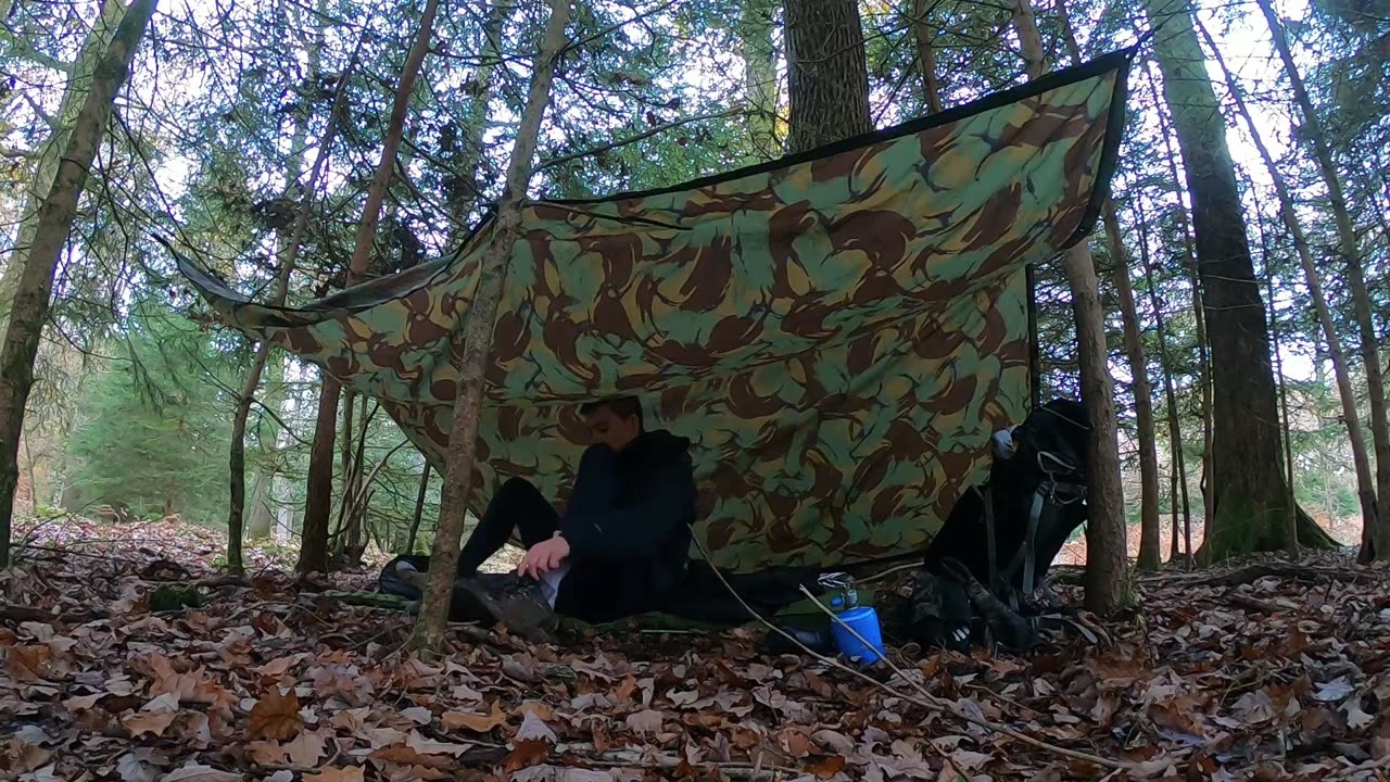 Autumn In The Forest Camping