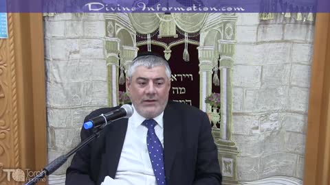 מליון כלבים כבשו את ארץ הקודש - בבאר שבע