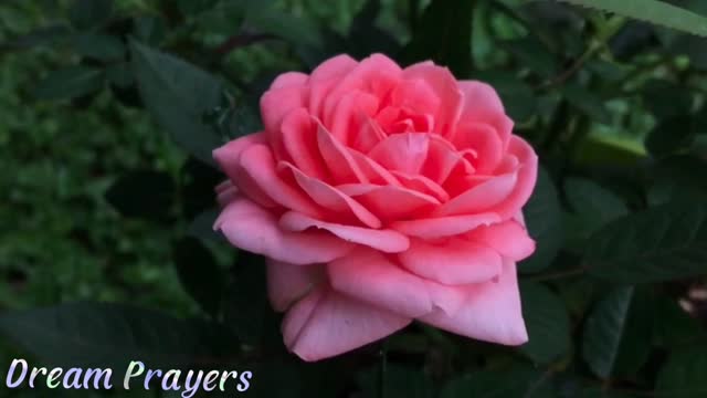 Achegando-se a Deus...