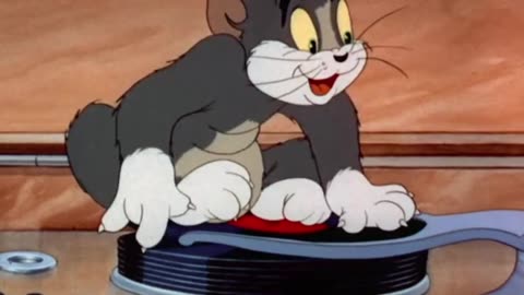 Tom And Jerry Shorts