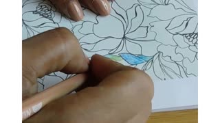 Color your book!