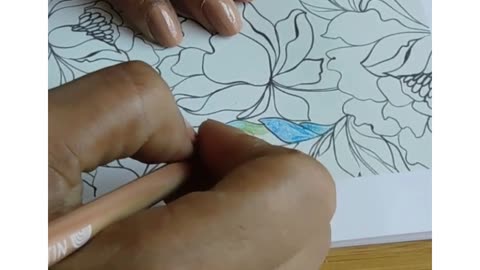 Color your book!