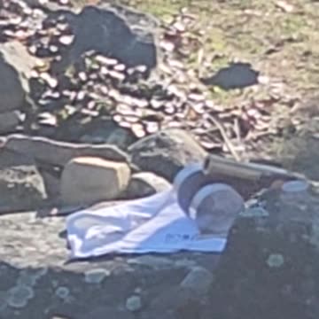 Flock it Farm: firing completed homemade signal cannon