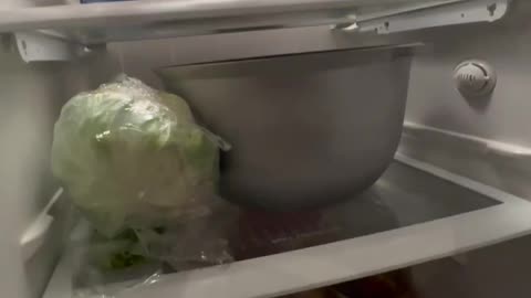 Funny video she put the bowl and plate inside the fridge but what happened see this video 📸