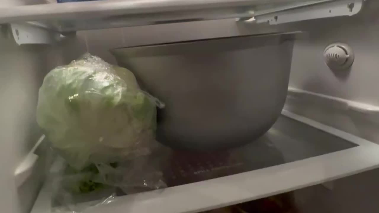 Funny video she put the bowl and plate inside the fridge but what happened see this video 📸
