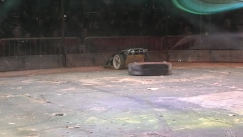 RoboRiots BT Young Scientist Dublin 2020: Audacious Vs Beast