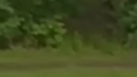 Rake Cryptid Spotted in the Appalachian Mountains!