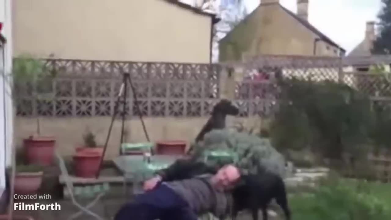 When Coordination Goes On Vacation(and your dignity goes with it) drunk compilation #viral #crazy