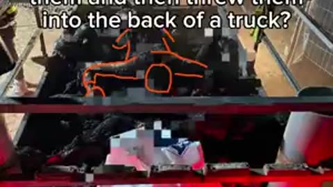 It’s Hard To Know What To Trust [Reality Is Always Complicated]