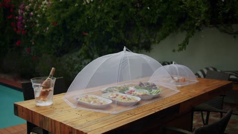 Large Outdoor Food Covers