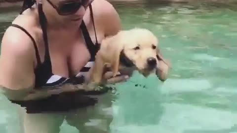 Strange and funny behavior of animals 1111